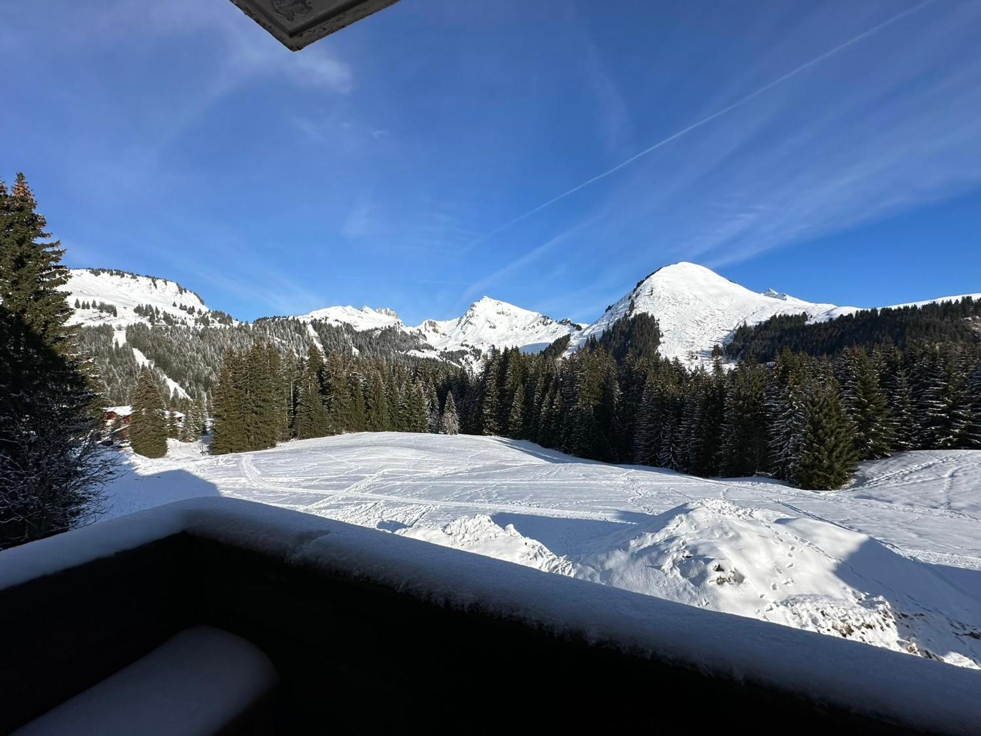 Studio Au Coeur Du Praz-De-Lys - Les Pralyssimes Le Praz de Lys Luaran gambar