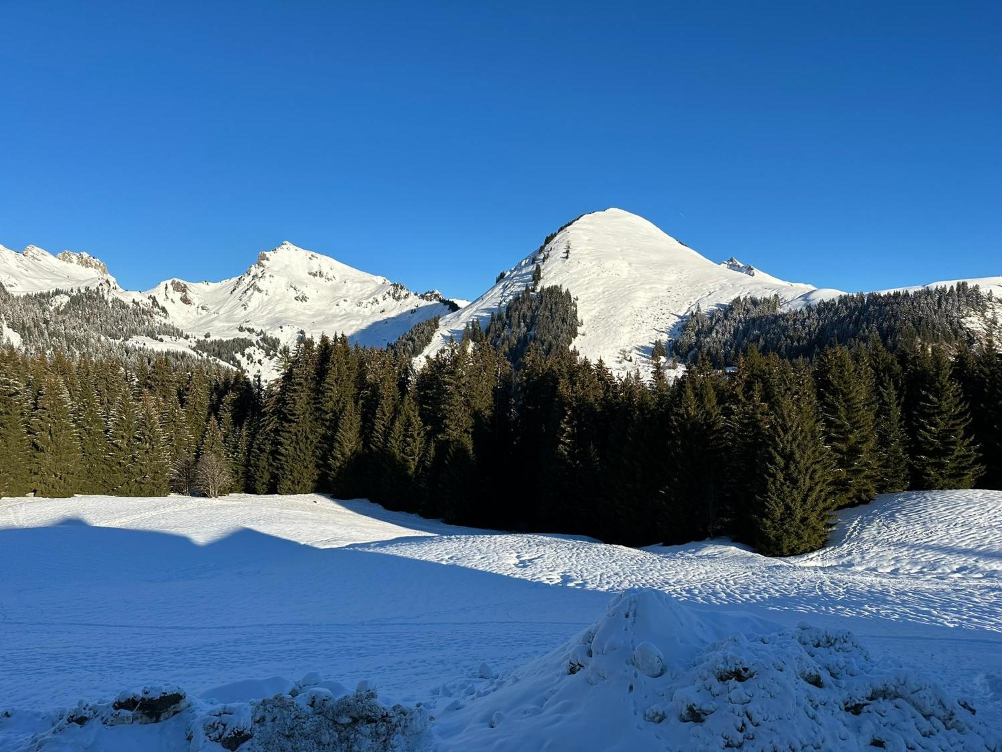 Studio Au Coeur Du Praz-De-Lys - Les Pralyssimes Le Praz de Lys Luaran gambar
