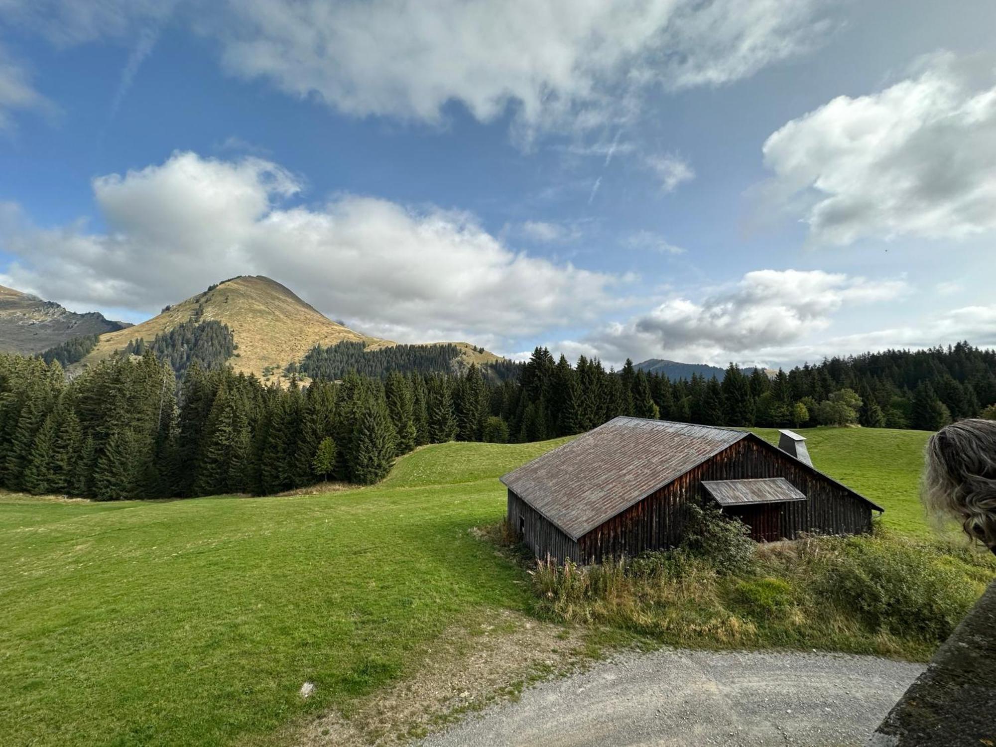 Studio Au Coeur Du Praz-De-Lys - Les Pralyssimes Le Praz de Lys Luaran gambar