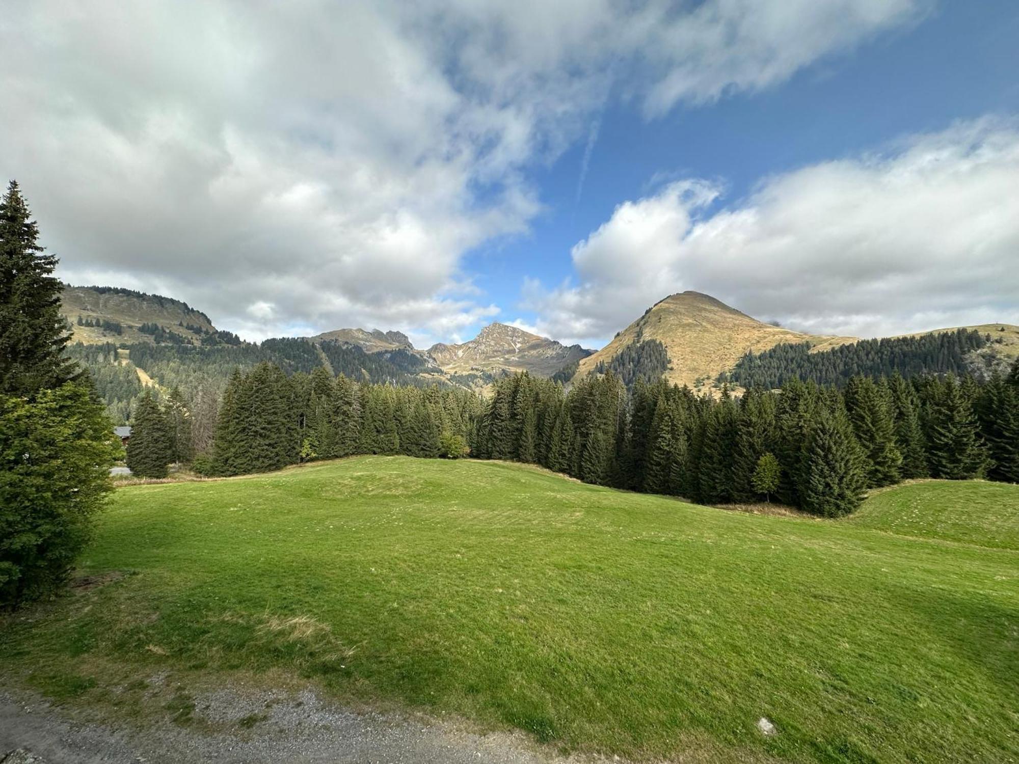 Studio Au Coeur Du Praz-De-Lys - Les Pralyssimes Le Praz de Lys Luaran gambar
