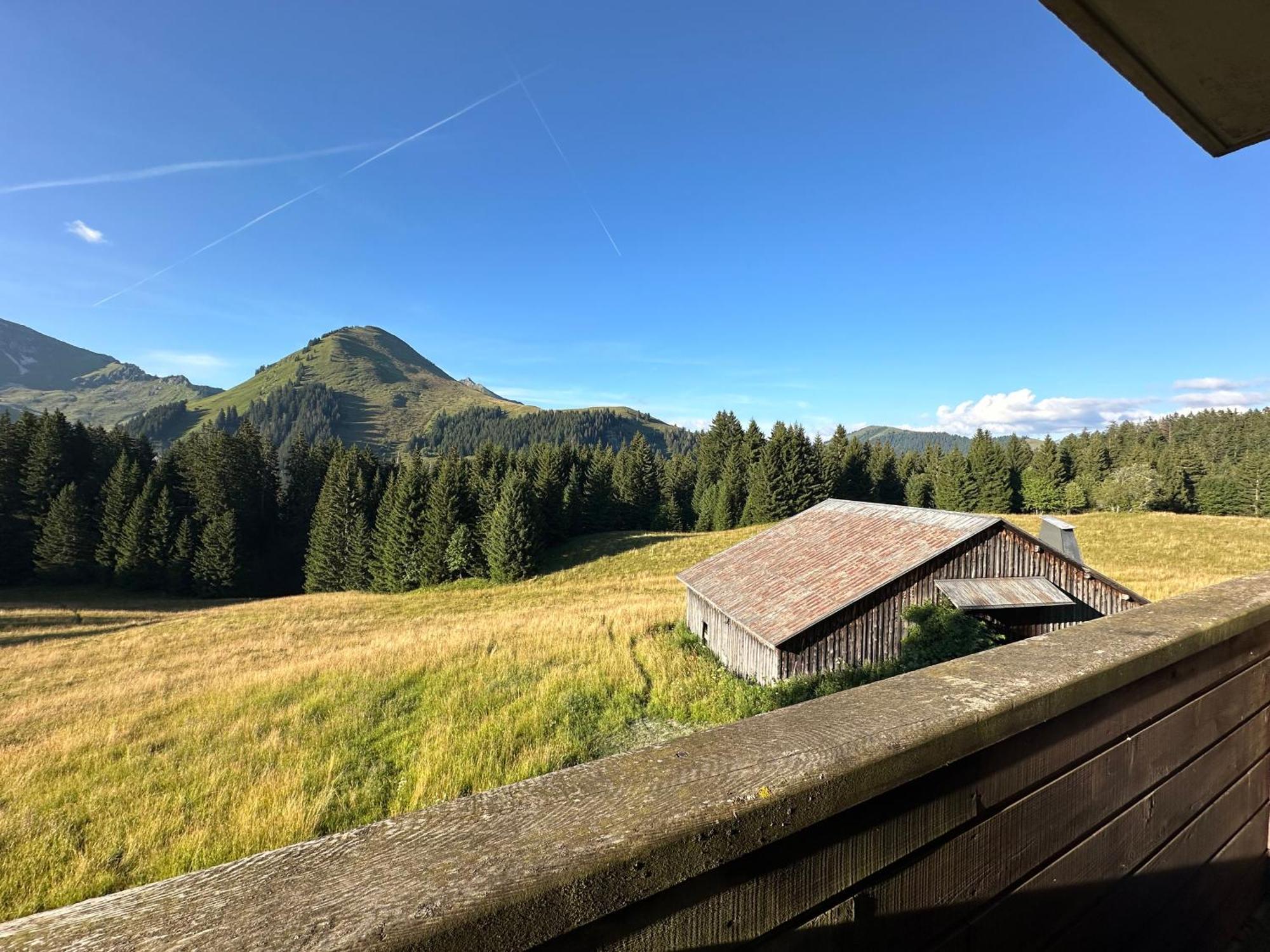 Studio Au Coeur Du Praz-De-Lys - Les Pralyssimes Le Praz de Lys Luaran gambar